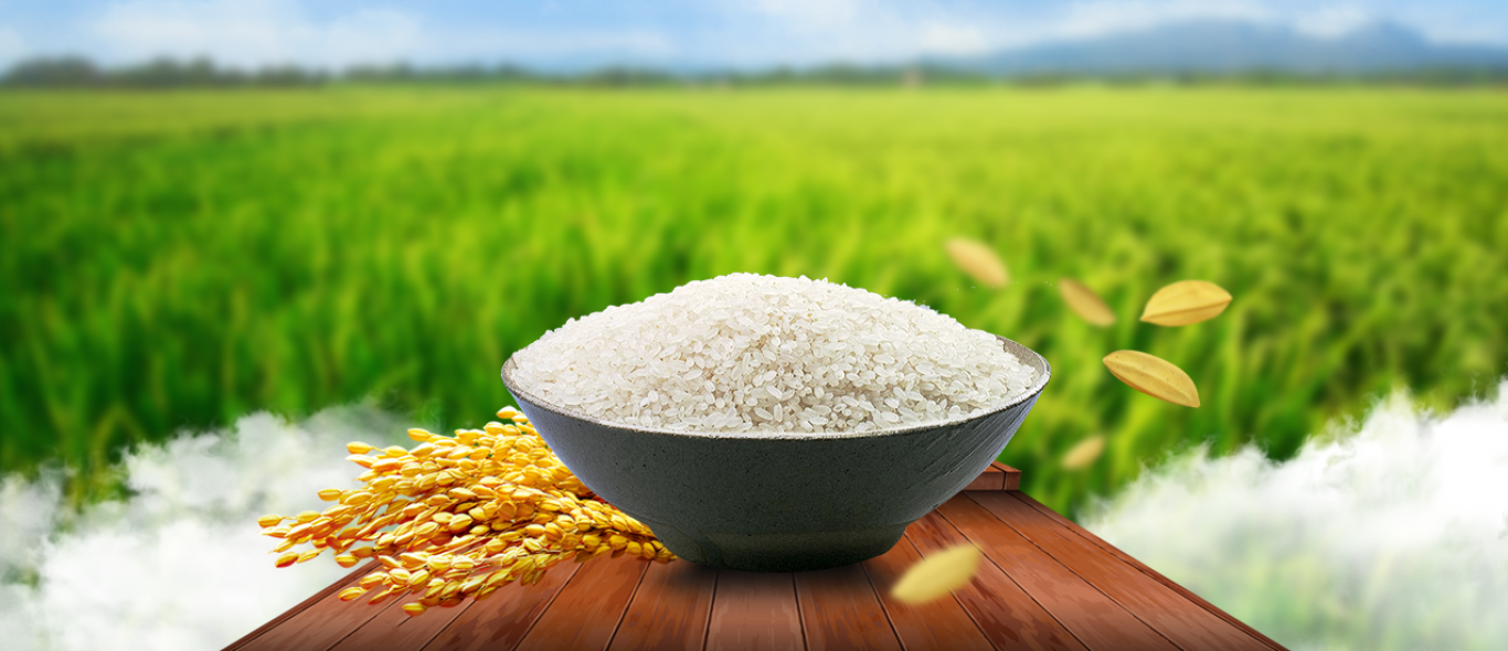 Chất lượng tốt nhất, dịch vụ hoàn hảo 