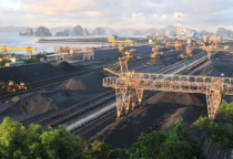 Điều lệ tổ chức hoạt động 