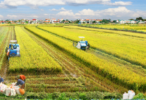 Lịch Sử Hình Thành