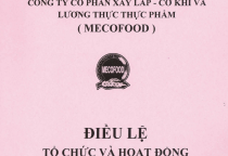 Điều lệ tổ chức hoạt động 