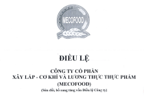 ĐIỀU LỆ HOẠT ĐỘNG CÔNG TY ĐƯỢC SỬA ĐỔI BỔ SUNG TĂNG DO VỐN ĐIỀU LỆ TỪ NGUỒN VỐN CHỦ SỞ HỮU