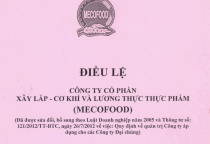 Điều lệ tổ chức hoạt động công ty năm 2014 