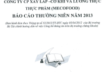 BÁO CÁO THƯỜNG NIÊN NĂM 2013