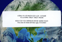 BÁO CÁO TÀI CHÍNH NĂM 2023