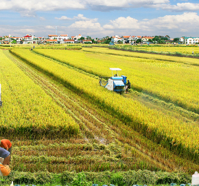 Lịch Sử Hình Thành